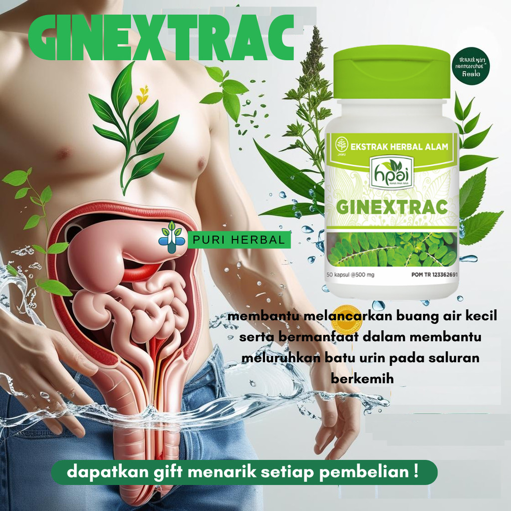 Ginextrac HNI HPAI – Herbal Batu Ginjal, Pelancar Buang Air Kecil & Luruhkan Batu Urin