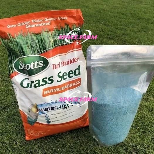 (TERMURAH PROMO) biji rumput bermuda 5lbs - bibit rumput bermuda - benih rumput bermuda
