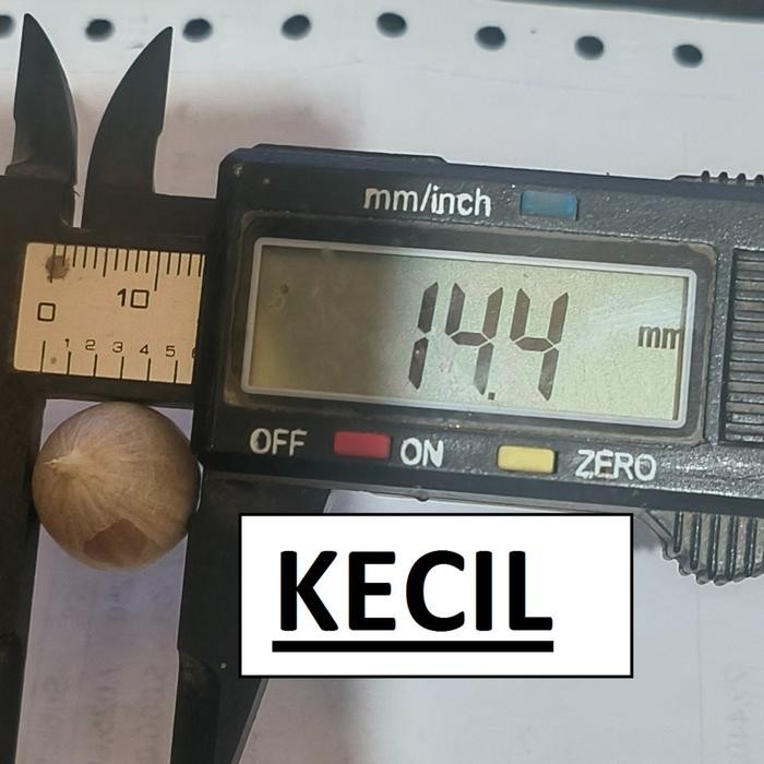 

Bawang Putih Tunggal 1 Kilo - Tunggal_Kecil