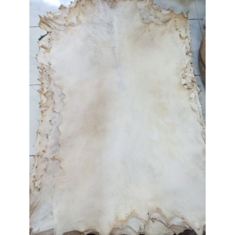 KULIT KAMBING KERING LEMBARAN BUAT wayang kulit (TIPIS)