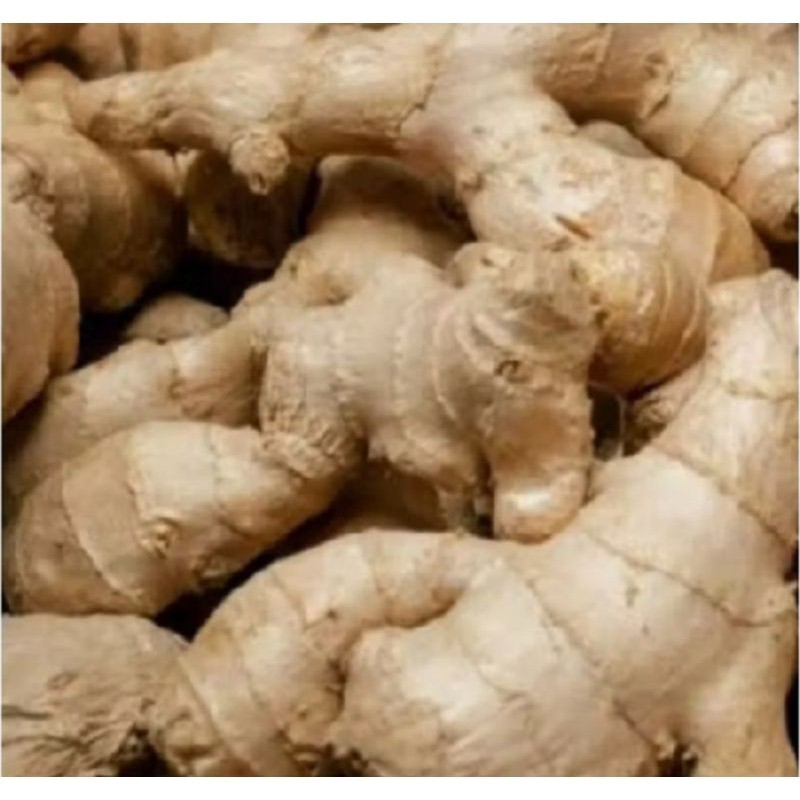 

Jahe 500 gr