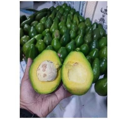 

Buah Alpukat Mentega 1kg Bergaransi - Alpukat Kuning - Alpukat Mentega Legit - Medium(4-5buah)