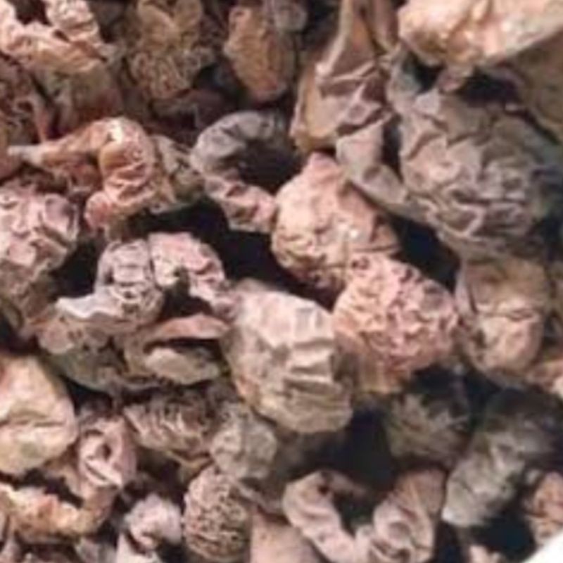 

MURAH Kulit pala/polo kering 200gr