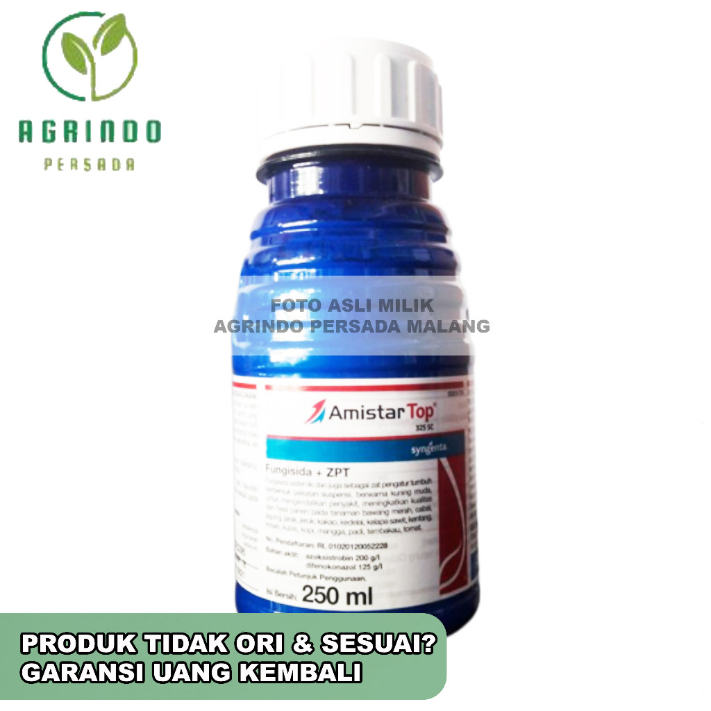 Fungisida + ZPT AmistarTop 325SC 250 ml ORIGINAL ASLI 100% | AmistarTop 250ml