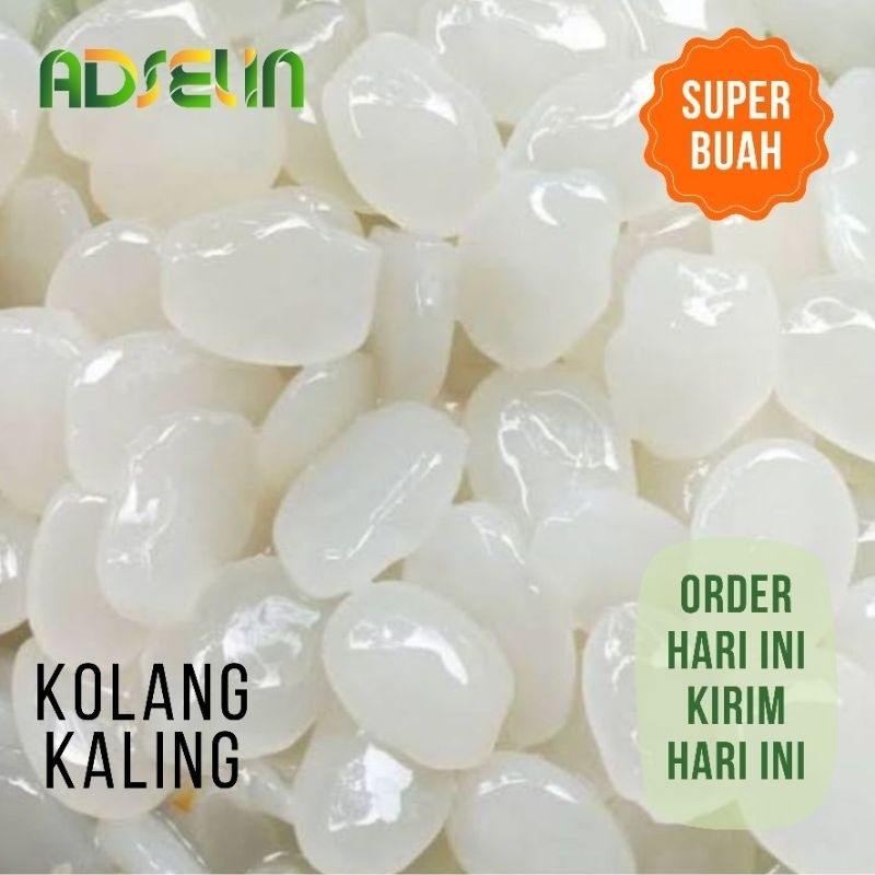 

BIG PROMO Kolang Kaling Segar 500gr Bersih Kirim Instan Adselin ready