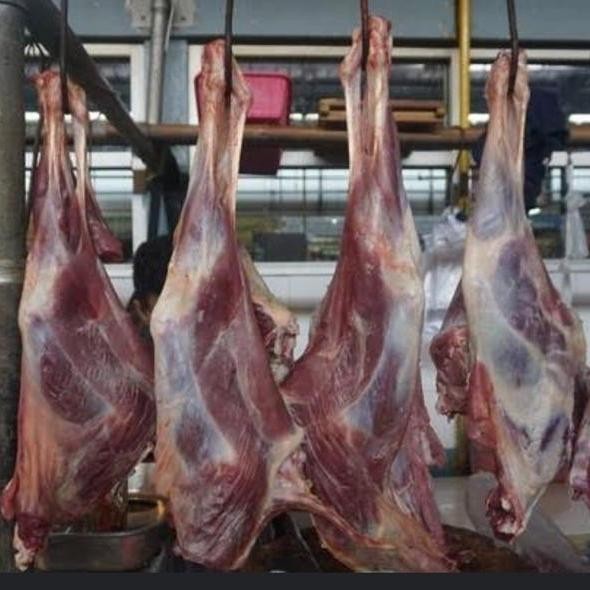 

Daging Paha Kambing 250gr