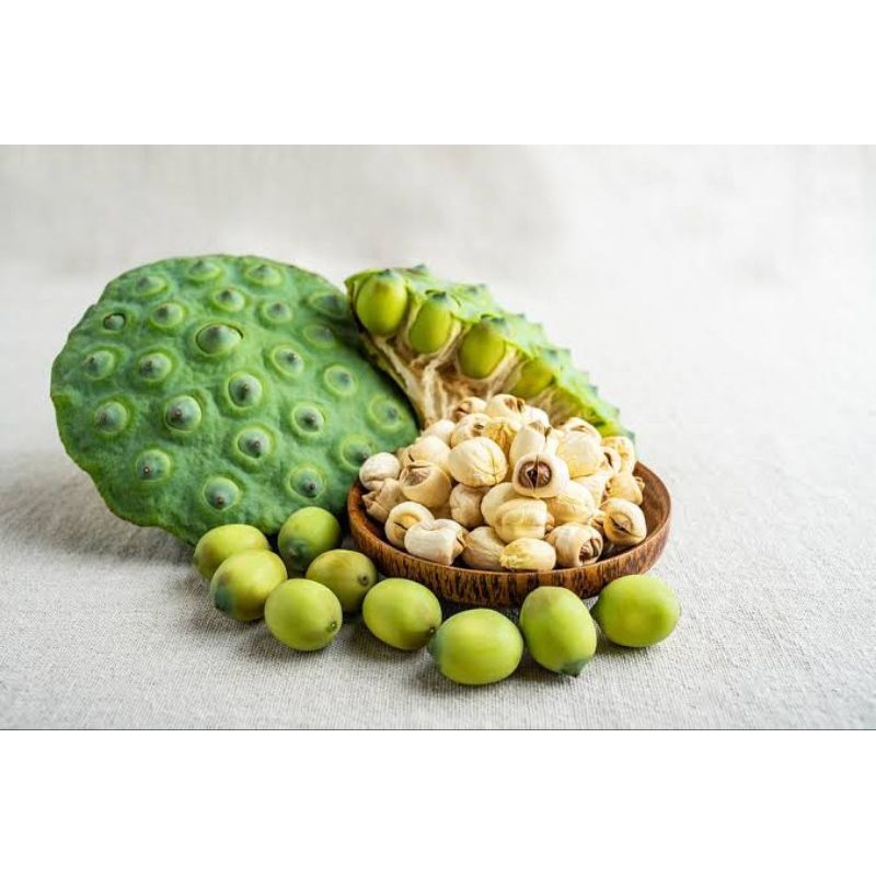 

Buah biji teratai muda/tanpa bonggol sudah dikupas