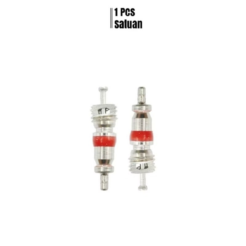 isi dalam pentil spuyer ban