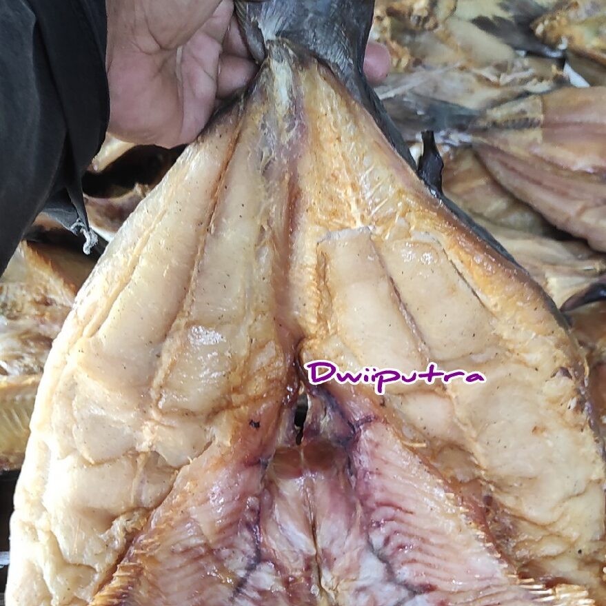 

ikan asin jambal roti khas pangandaran