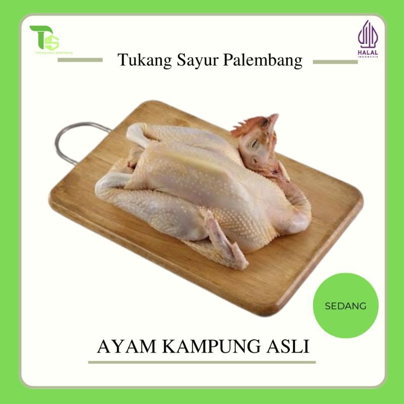 

Ayam Kampung - Ayam kampung Asli - Ayam kampung Palembang - Ayam kampung Potong dan Fresh 0.9-1.0Kg