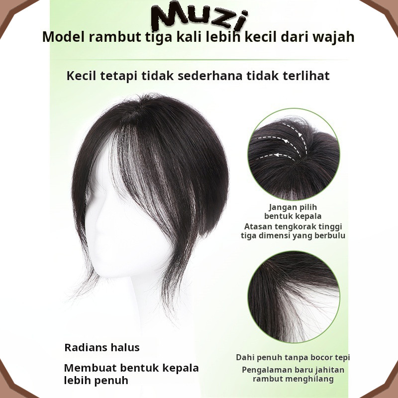 Wig wanita dengan poni, rambut asli, poni palsu tipis, bagian atas kepala tinggi, wig penutup rambut
