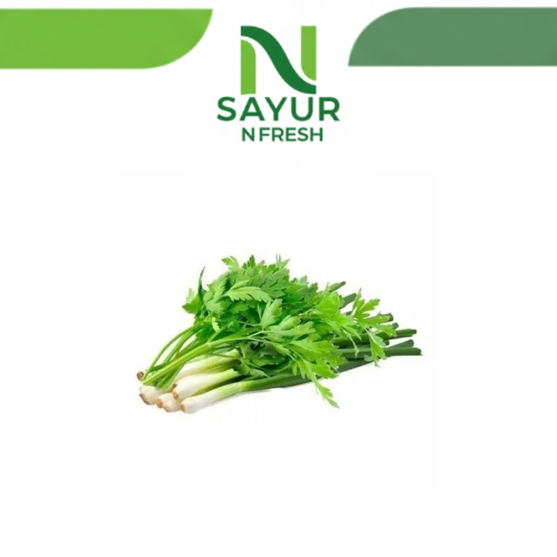 

DAUN PRE MIX SELEDRI