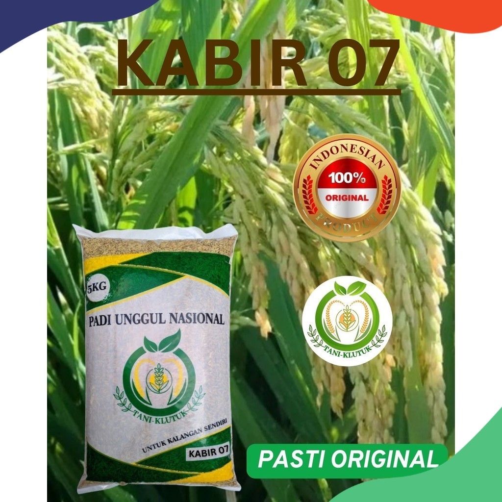 bibit biji padi kabir 07 kemasan 5kg original TANI KLUTUK