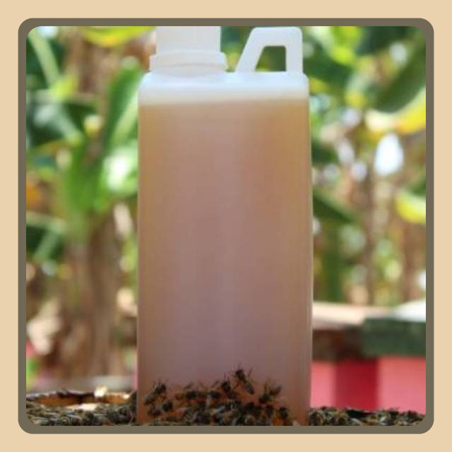 

1 liter Madu murni raw honey | Asli Tanpa Proses