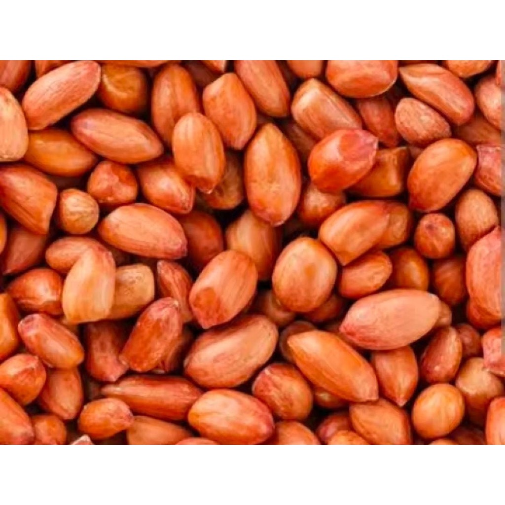 

KACANG TANAH SUPER BESAR 500 GRAM DAN 1 KG