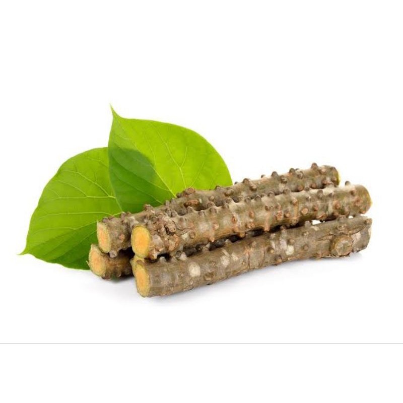 

BROTOWALI/BATRAWALI ASLI PAHIT SEGAR UNTUK SAPIH ANAK 100 GR ,