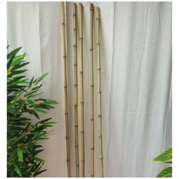 Korehcok  Bambu 1,5M - Bambu Dekorasi Hiasan Rumah - Perlengkapan Rumah -Bambu Partisi Cendani - Bam