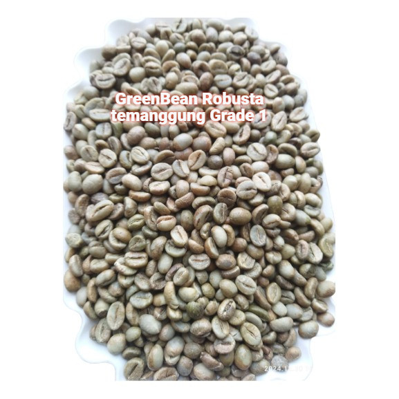 

Greenbean Kopi Robusta Temanggung Grade 1 Kemasan 1KG Biji Kopi Mentah