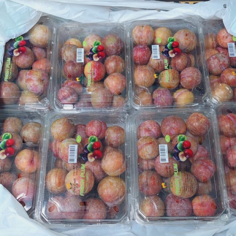

Buah Plum RRC 800 grm / Pack