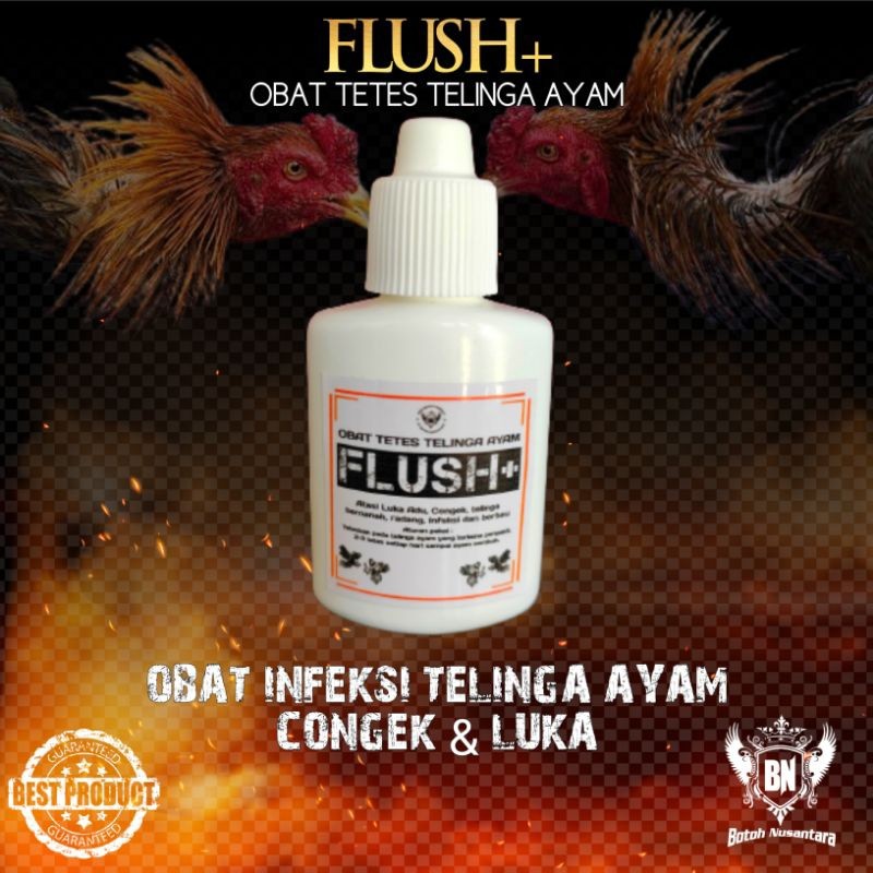 Pakan Ayam Aduan FLUSH+ Obat tetes telinga infeksi