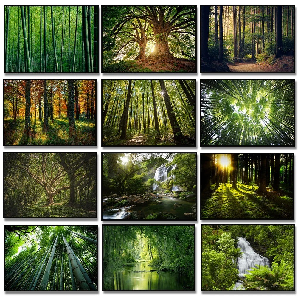 

Nature Scenery Green Trees Forest Bamboo Waterfall Landscape Canvas Painting Poster Print Wall Art for Living Room Home Decor