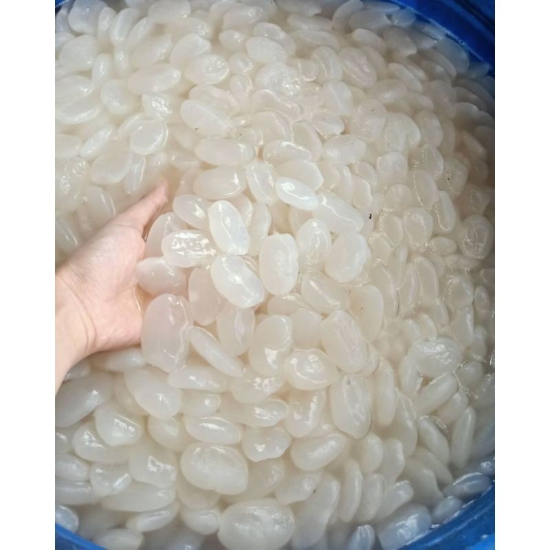 

BIG PROMO Kolang Kaling Super 1kg Bahan Manisan Terbaik Spesial Ramadhan ready