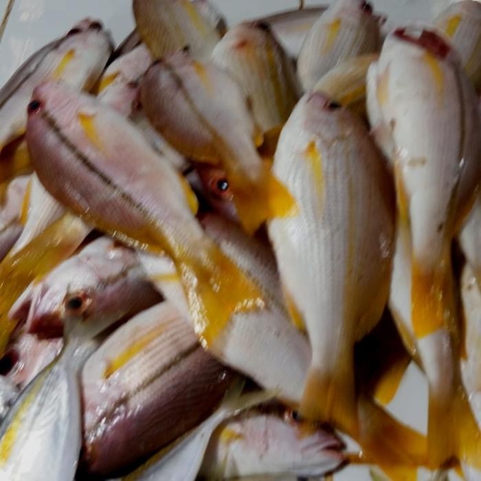 

Ikan Kuniran 1 kg