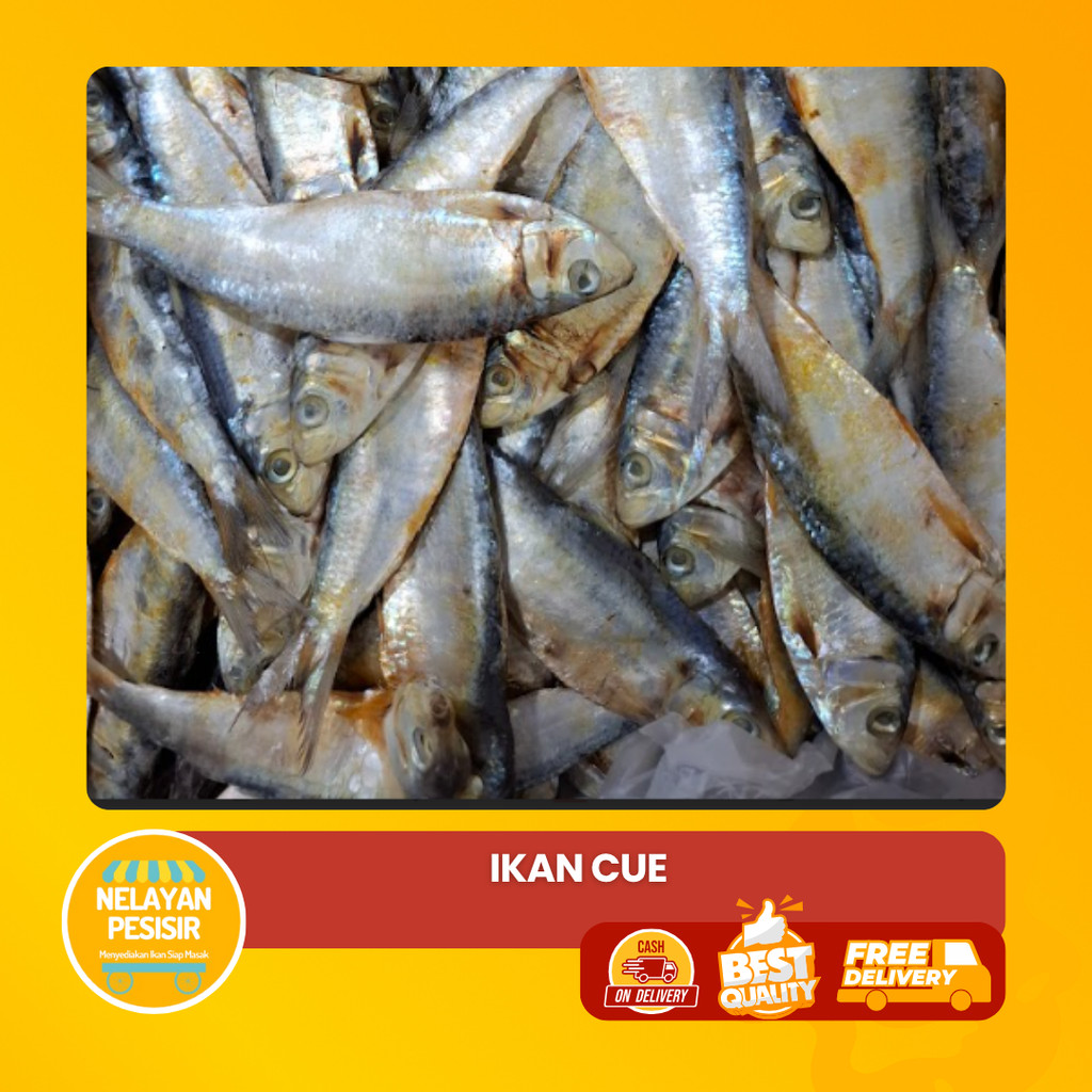 

Ikan Cue Segar Berkualitas Harga Murah Siap Masak Tanpa Ribet