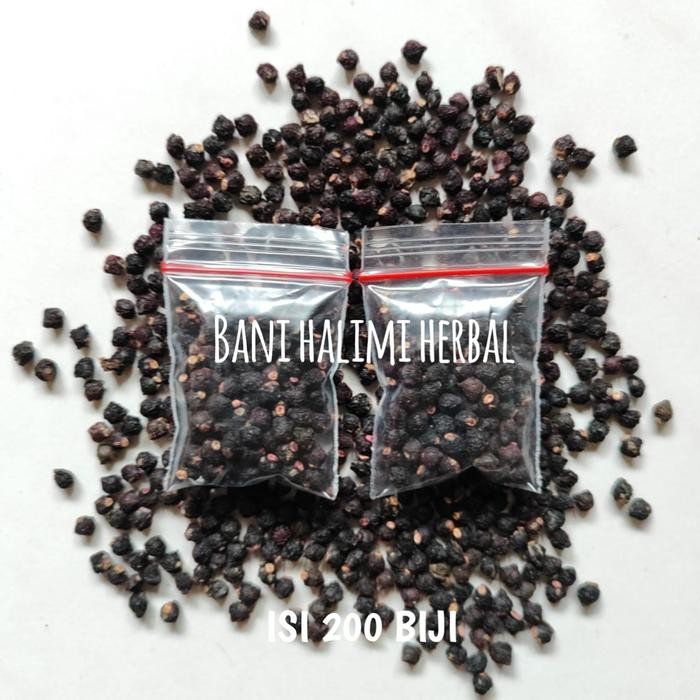 

Biji Buah Angkung Kering Obat Herbal Stroke 200 Biji Bonus 10 Biji - Zipplock 200 ready