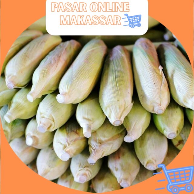 

Jagung per Biji