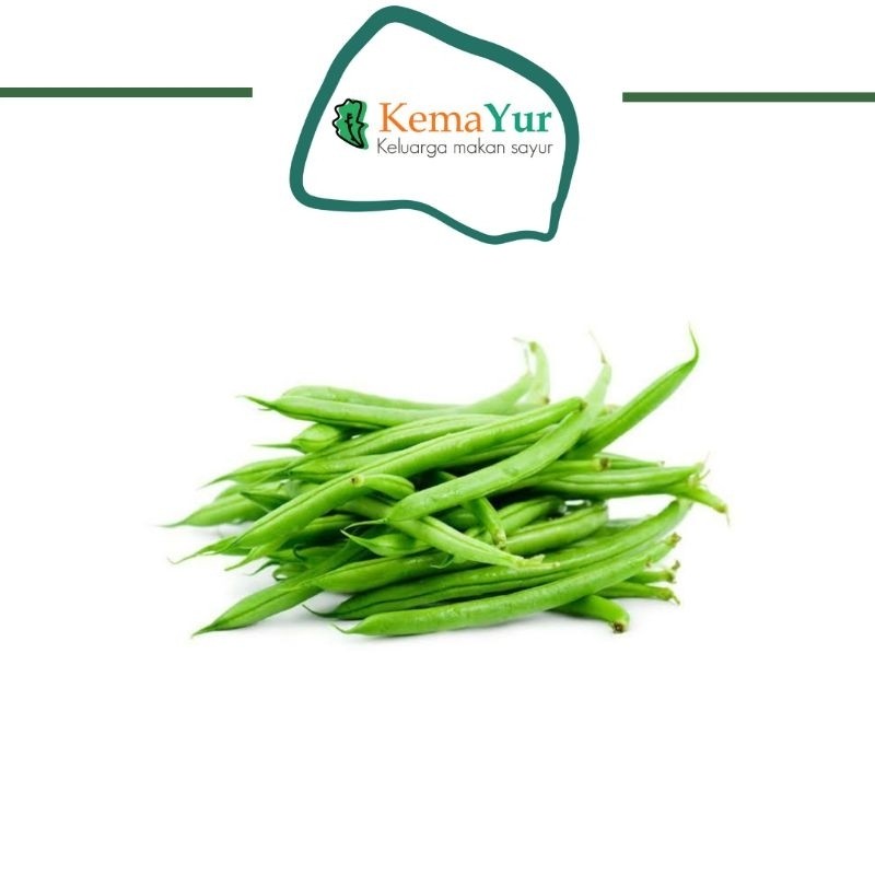 

BUNCIS SEGAR 250GR