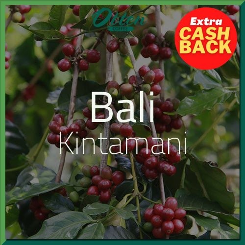 

Green Bean Kopi Arabica Bali Kintamani - 1 Kg - Biji Kopi Mentah Siap Roasting - Otten Coffee