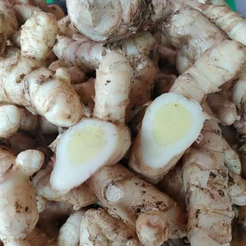 

Ready stok Temu Putih/Kunyit Putih per 1000gram aceng_tunggeu fresh