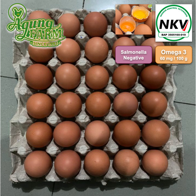 

Telur Ayam Negri Negeri per 1 papan 30 butir Segar dari Kandang NKV