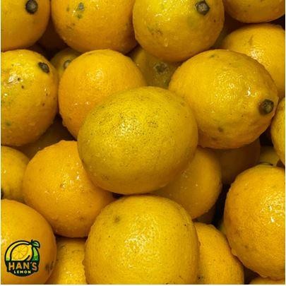 

Jeruk Lemon California Super 1 KG - Peras(Reject)