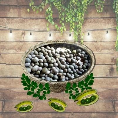 

BUAH KEBIUL/GOREK 1 KG terjamin