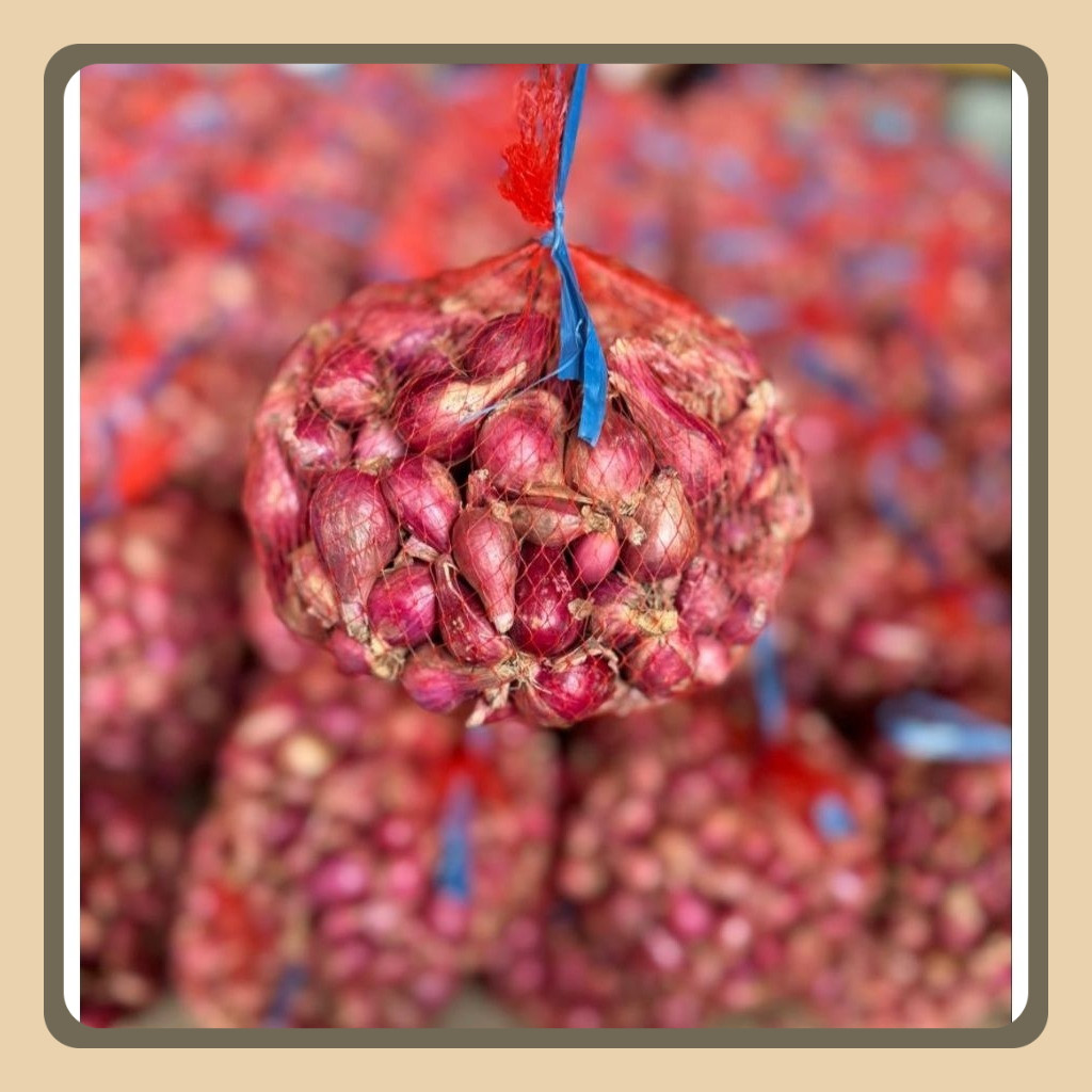 

Bawang Merah Asli Brebes Kemasan 3Kg