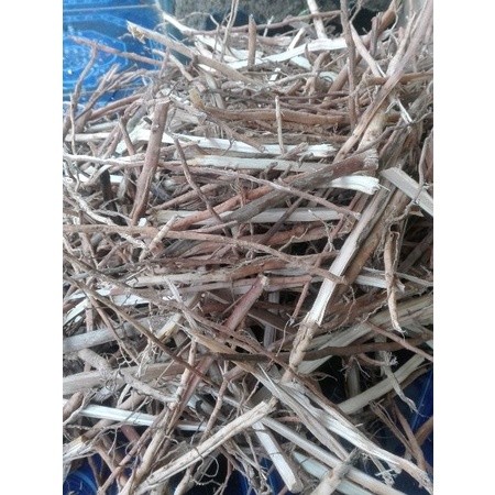 

Gelaskosong11 Ready Akar pinang kering iris paling mujarab SA