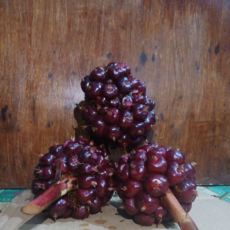 

HONJE LAKA/HONJE MERAH BUAH KECOMRANG 1KG