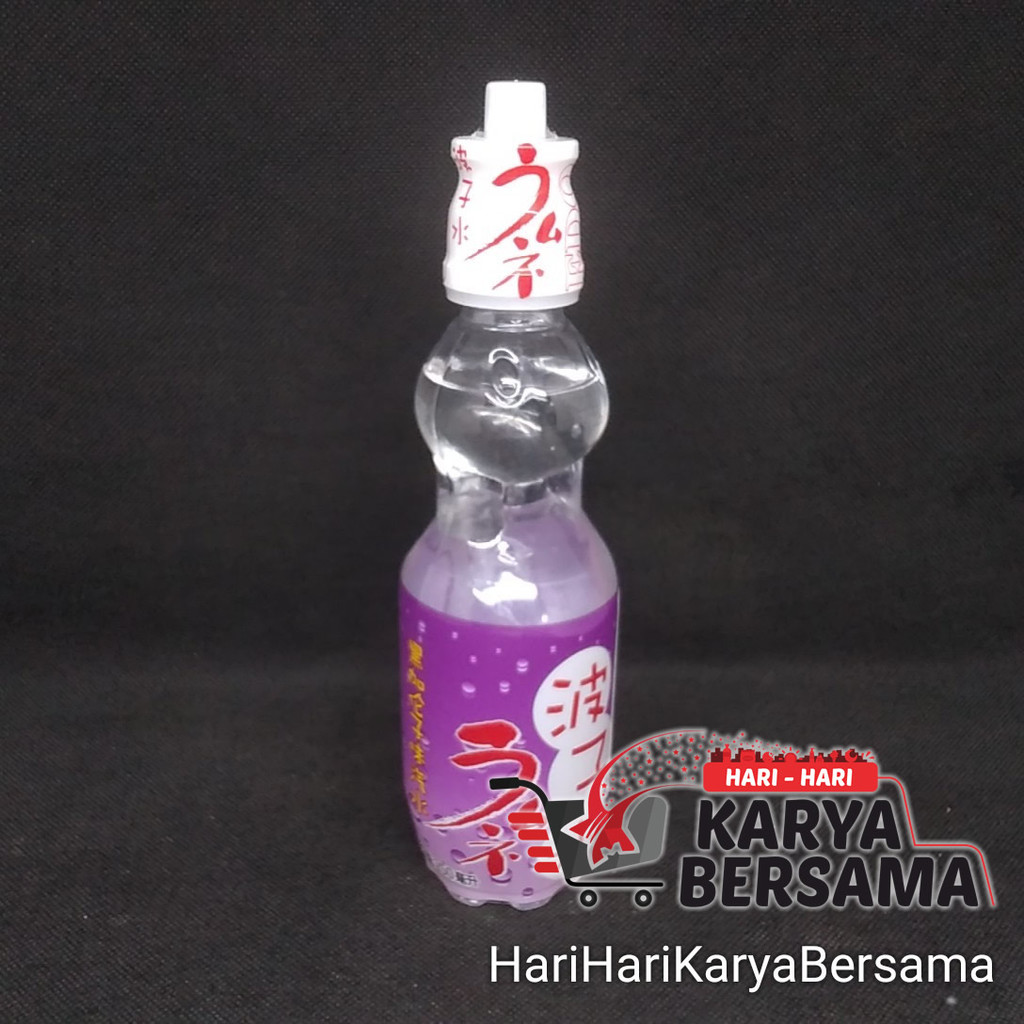 

EDO PACK MINUMAN BERKARBONAT RASA BLACKCURRANT 250ML