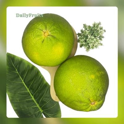 

Jeruk Pamelo Fresh 1 Pcs | DailyFruits