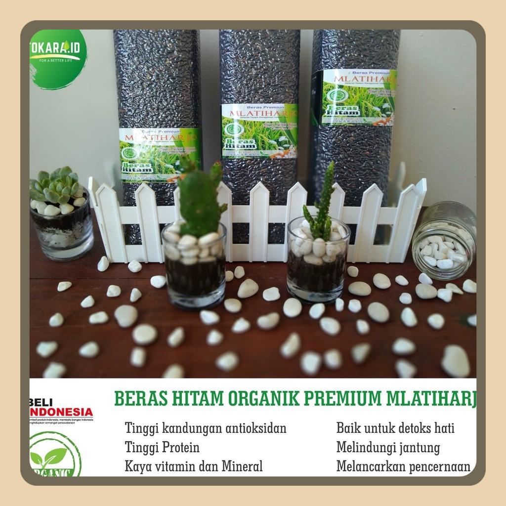 

Beras Hitam Organik Premium Mlatiharjo (VAKUM 1 KG)