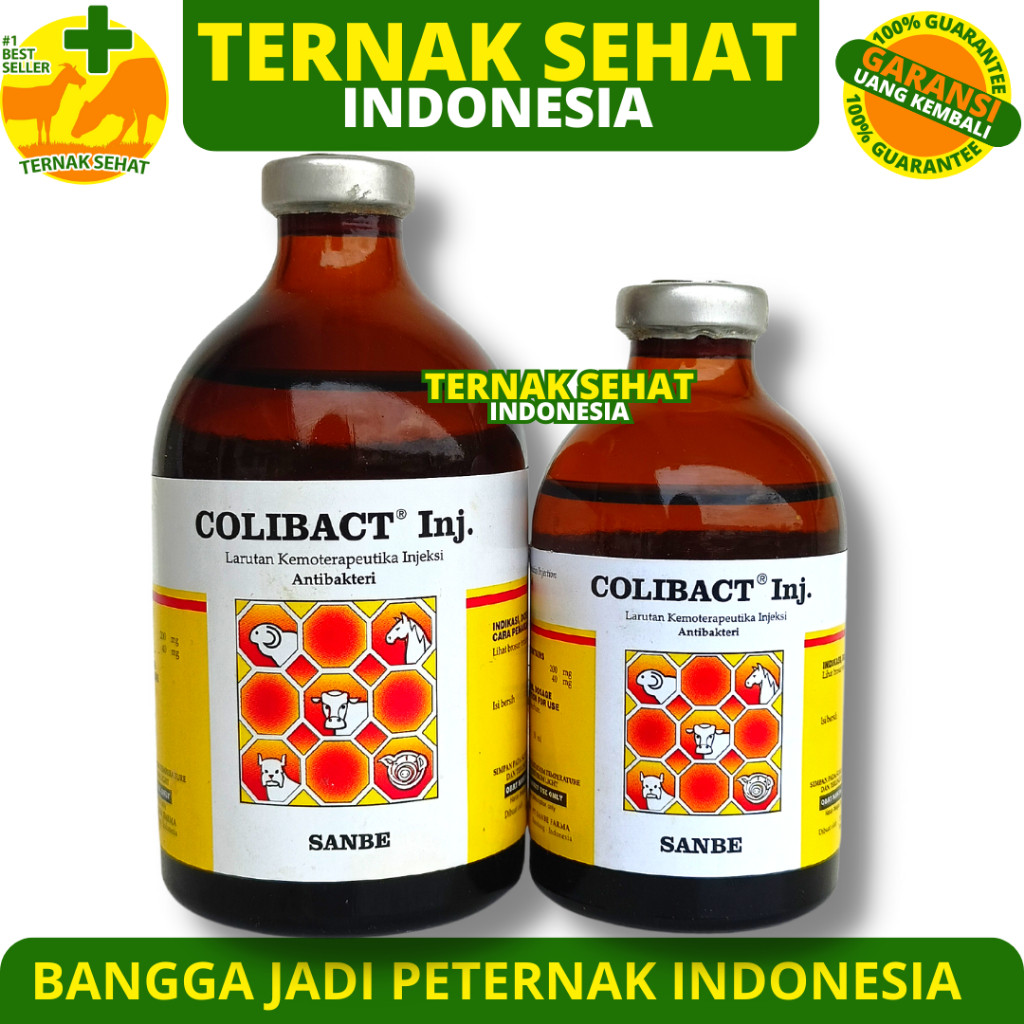 COLIBACT INJEKSI 50ML COLIBACT INJ 100ML SANBE - Obat Antibiotik Hewan Mencret Diare Sapi Kambing Do