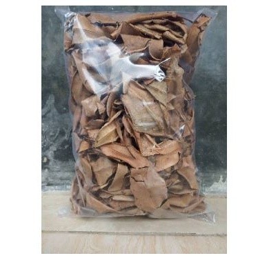 

Baru Promo DAUN CENGKEH KERING TERBAIK 250 GR OBAT HERBAL OBAT TRADISIONAL OBAT ALAMI bisa COD