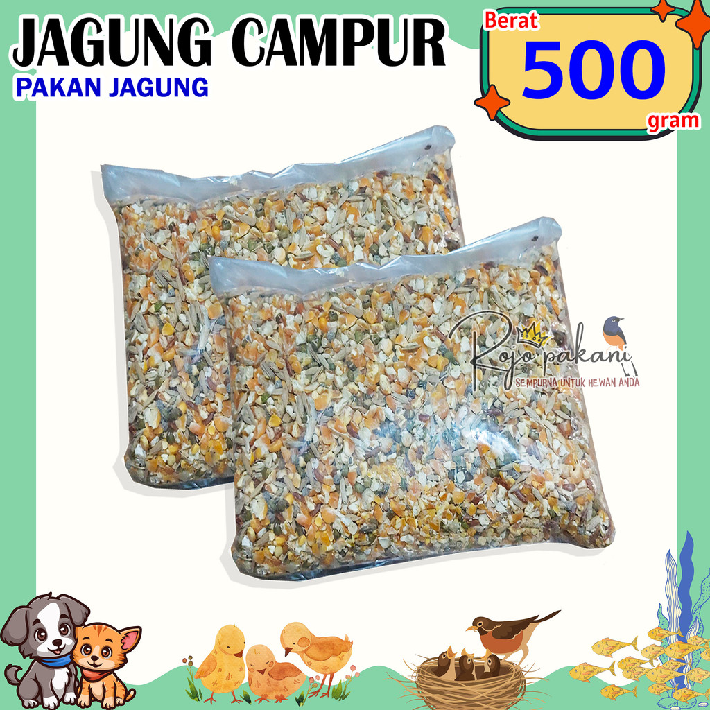 

RP Jagung Campur (Jagung, Kacang Hijau, Gabah Beras Merah, Beras Merah) Berat 500 gram Murah
