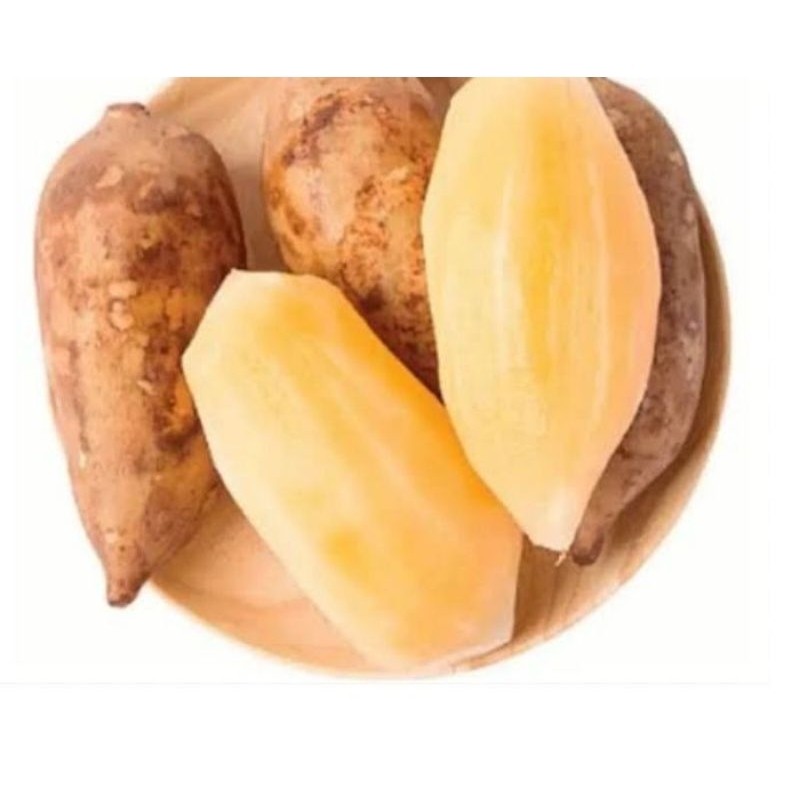 

DISKON GILA Umbi Yakon Asli Fresh Wonosobo Segar