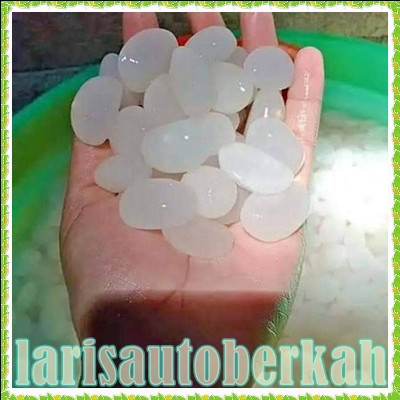 

PROMO MURAH kolang kaling super 1 kg kolang kaling segar putih dan bersih bahan untuk membuat manisan ready