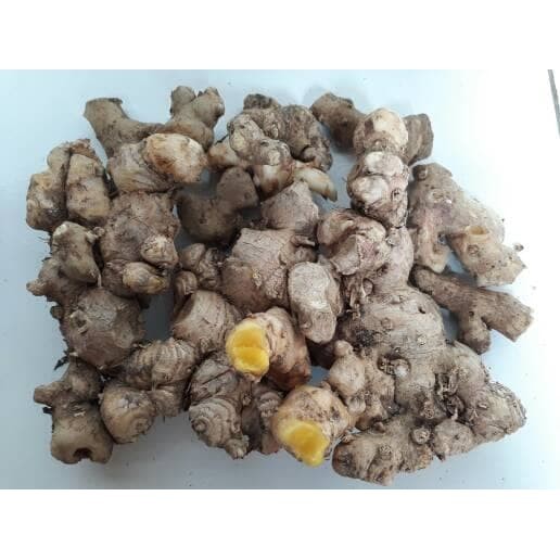 

Sahabatalam panglai/bangle/panglay/zingiber purpureum roxb KC