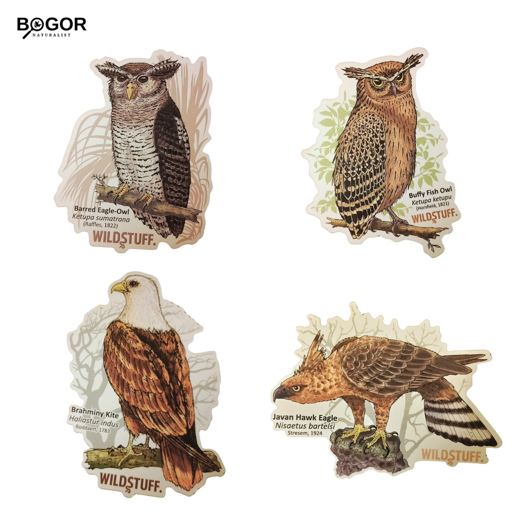

Stiker Wildstuff Edisi Burung #3