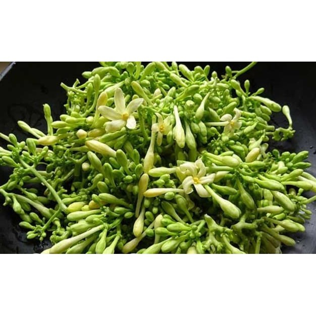 

Gelaskosong11 Bunga Pepaya Segar KC